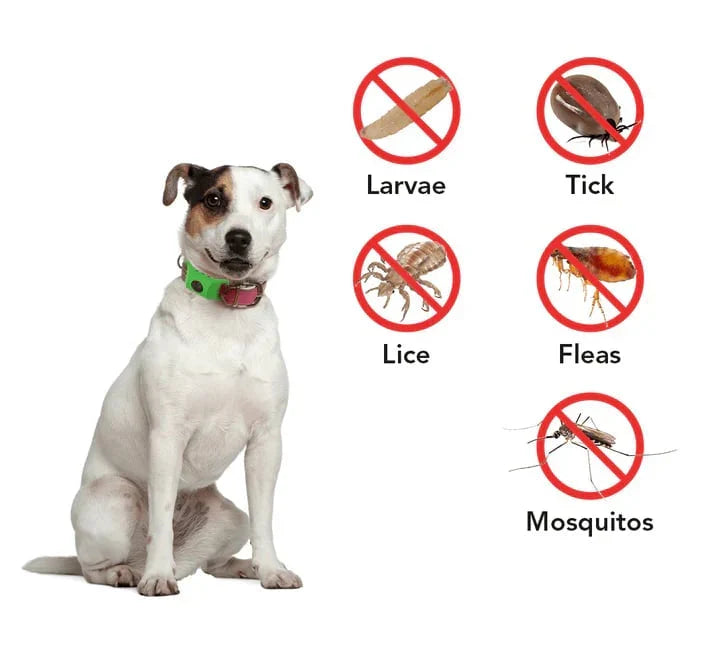 🐕30 Days Flea and Tick Free