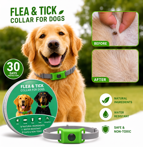 🐕30Days Flea and Tick Free