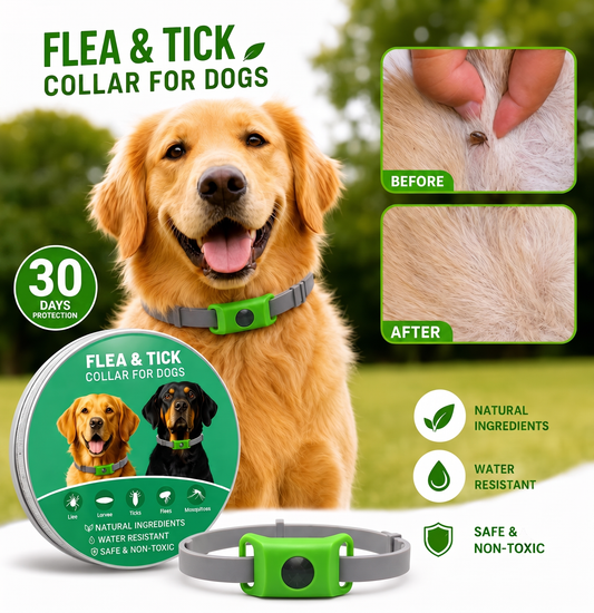 🐕30 Days Flea and Tick Free